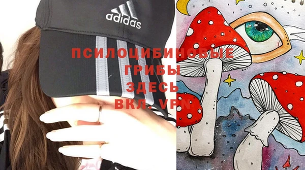 дурь Абаза