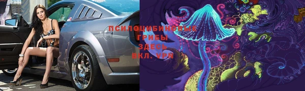 дурь Абаза