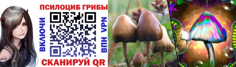 Псилоцибиновые грибы Magic Shrooms Лангепас